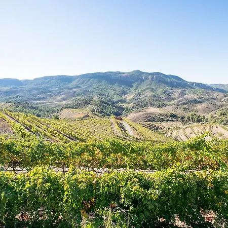 Hotell Buil & Gine Wine 4*