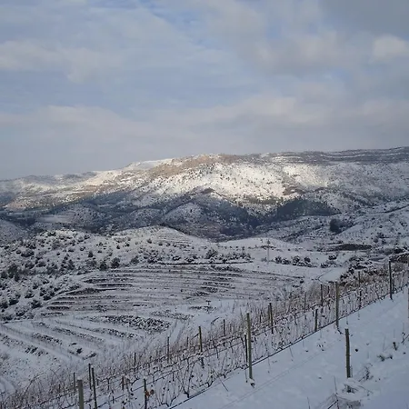 Hotell Buil & Gine Wine